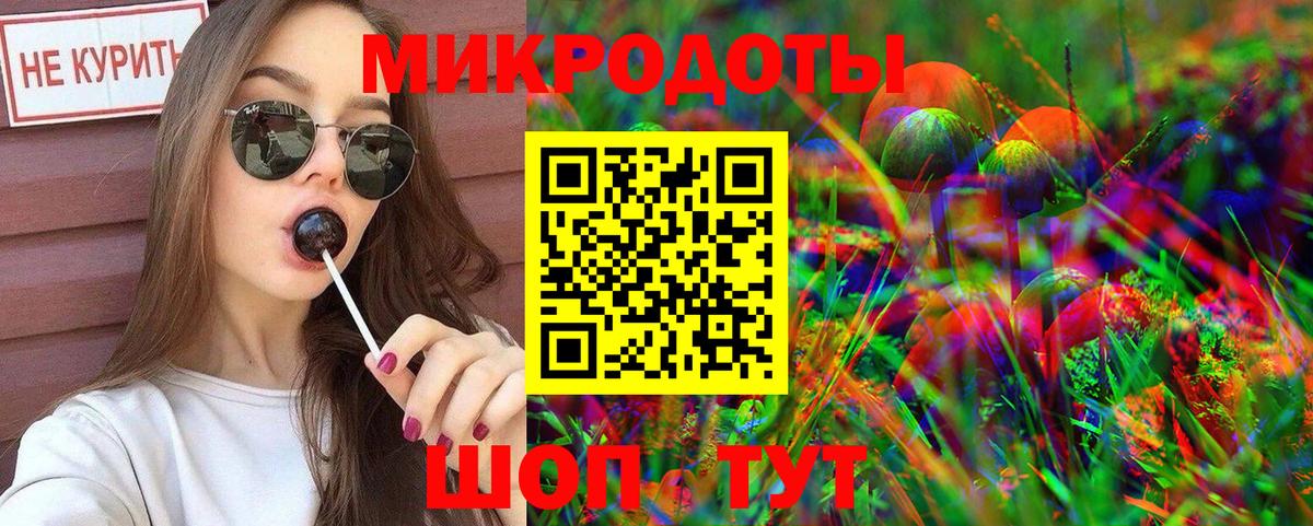 Псилоцибиновые грибы Cubensis Истра